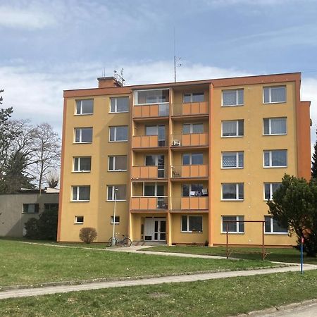 Apartman Ve Velkych Losinach Velké Losiny Exterior photo