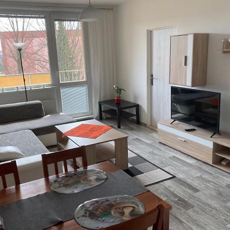 Apartman Ve Velkych Losinach Velké Losiny Exterior photo